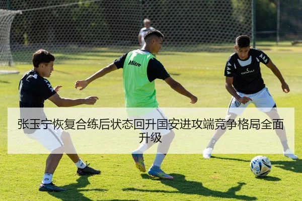 张玉宁恢复合练后状态回升国安进攻端竞争格局全面升级