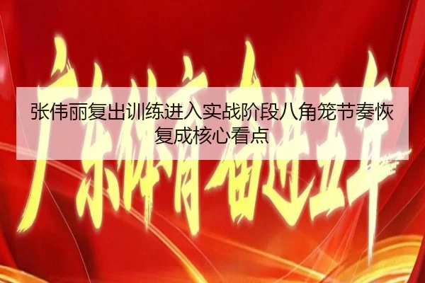 张伟丽复出训练进入实战阶段八角笼节奏恢复成核心看点